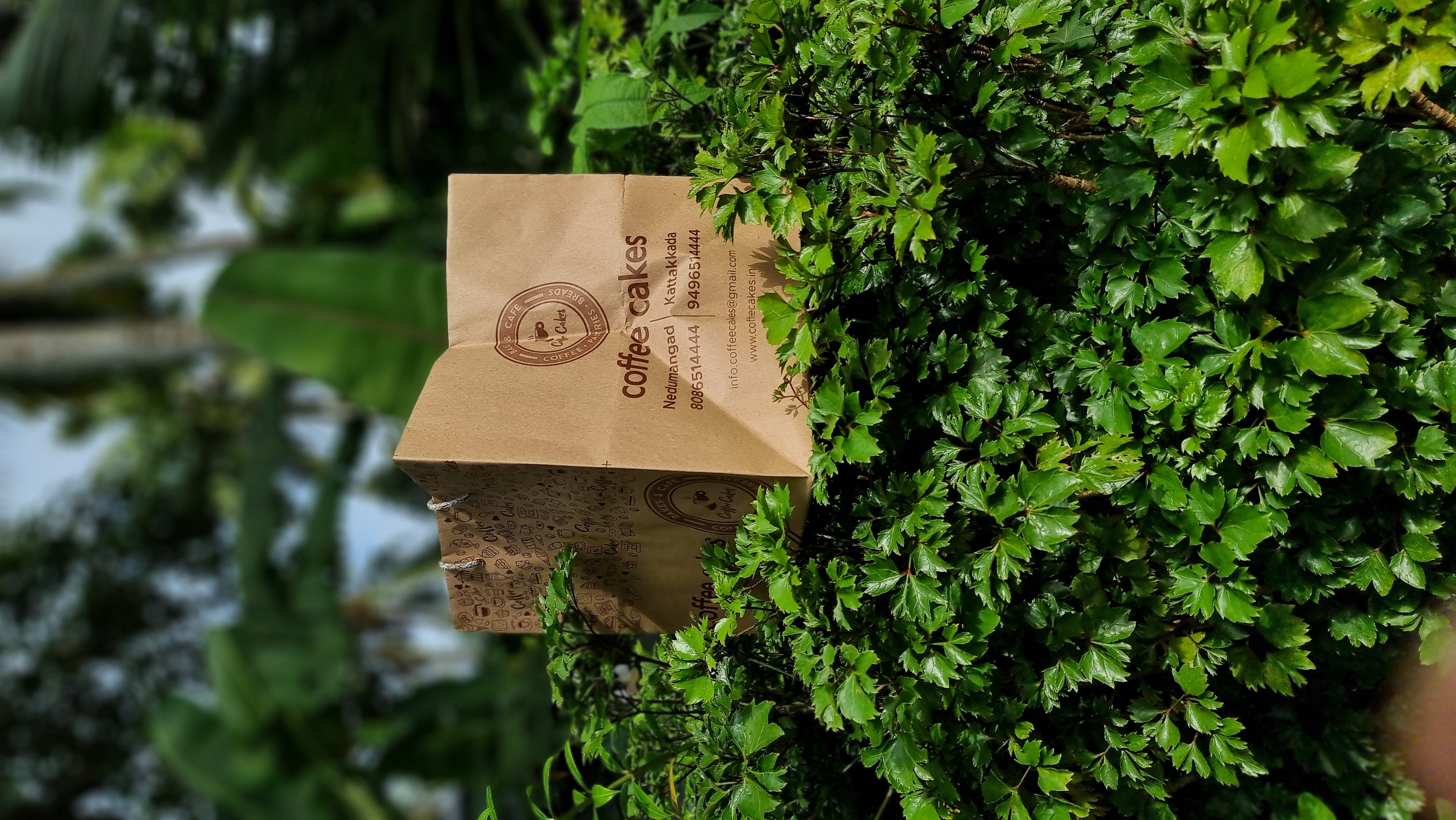 Paper Bag
